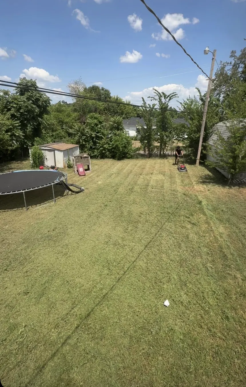 Backyard lawn mowing — City 1